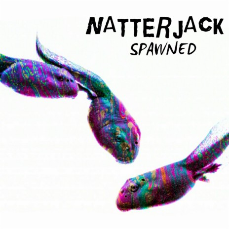 Natterjack Rex