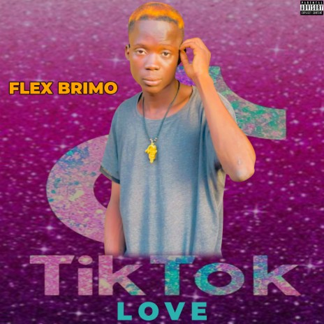 Tiktok love | Boomplay Music