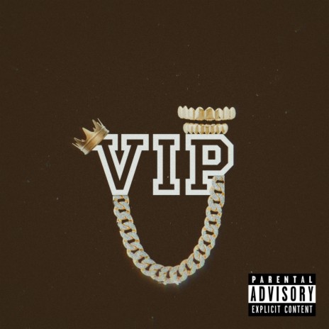 VIP ft. ZOOMED LENS | Boomplay Music