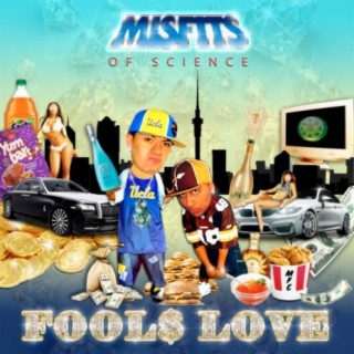 FOOLS LOVE