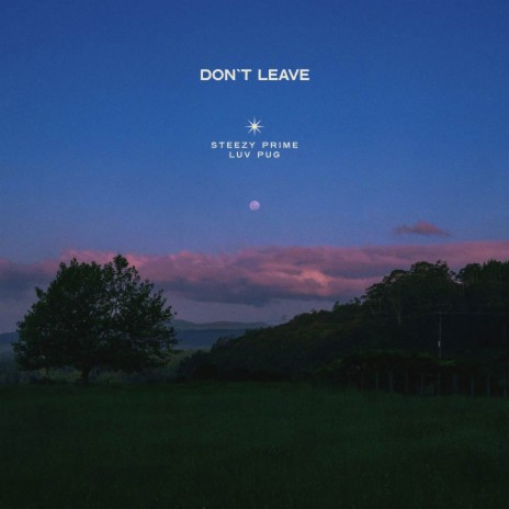 Don't Leave ft. luv pug | Boomplay Music