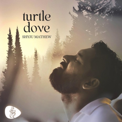 Turtle Dove - Tatenda | Boomplay Music