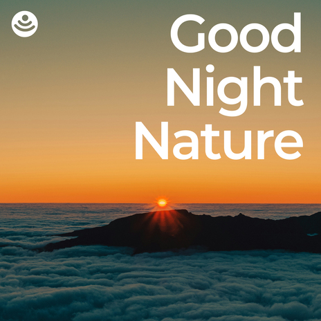 Good Night Whispering Pines ft. Nature Soundzzz Club & Nature's Mirror | Boomplay Music