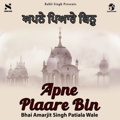 Apne Piaare Bin | Boomplay Music