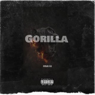 Gorilla lyrics | Boomplay Music