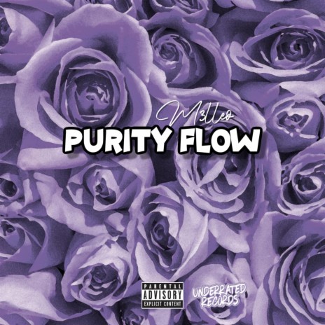 Purity Flow | Boomplay Music