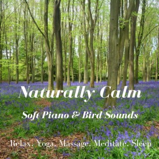 Naturally Calm Soft Piano & Bird Sounds