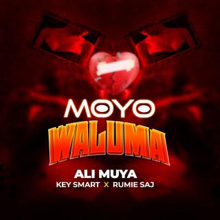 Moyo Waluma