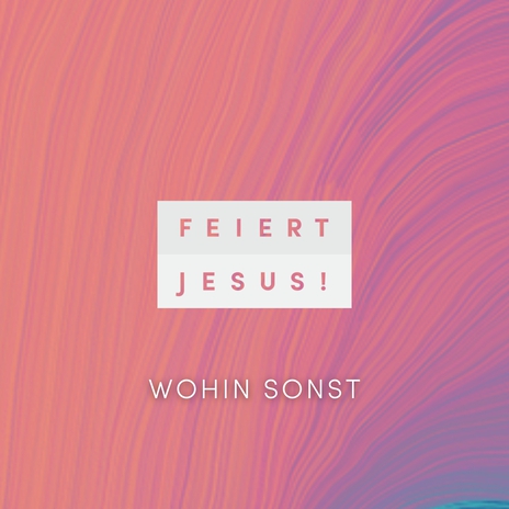 Wohin sonst (Remastered 2024) ft. Joe Falk | Boomplay Music