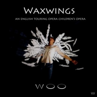 Waxwings (Instrumental version)