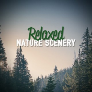 Relaxed Nature Scenery