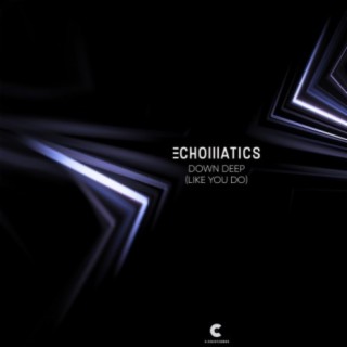 Echomatics