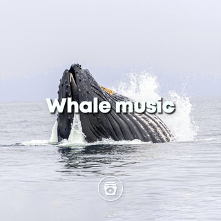 Whale Music