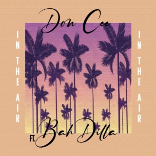 In the Air ft. Bah Dilla lyrics | Boomplay Music