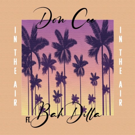 In the Air ft. Bah Dilla | Boomplay Music