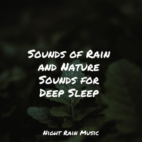 Regen - White Noise Roof Shed Rain MP3 Download & Lyrics | Boomplay