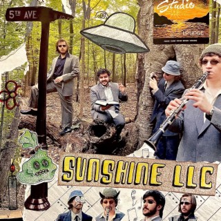 Sunshine LLC