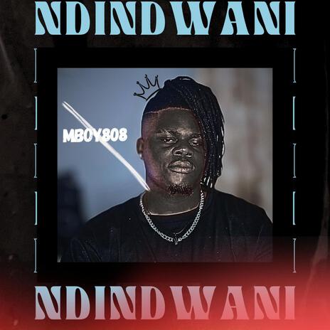 Ndindwani | Boomplay Music