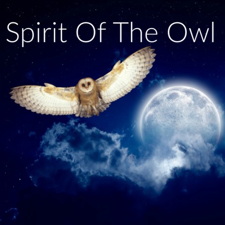 Spirit of the Owl | Boomplay Music