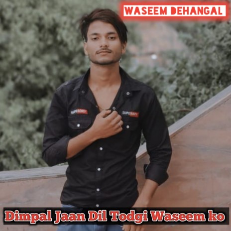 Dimpal Jaan Dil Todgi Waseem Ko (Mewati) | Boomplay Music