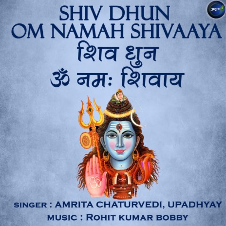 Shiv Dhun Om Namah Shivaaya ft. Upadhyay | Boomplay Music