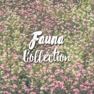 Fauna Collection