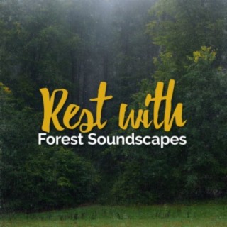 Rest with Forest Soundscapes