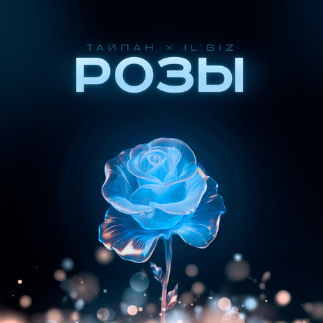 Розы ft. IL'GIZ | Boomplay Music