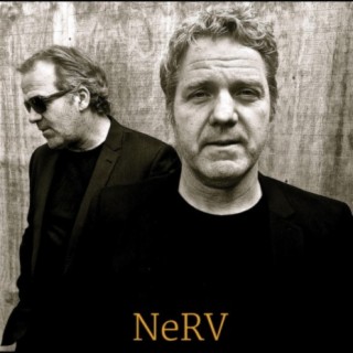 NeRV