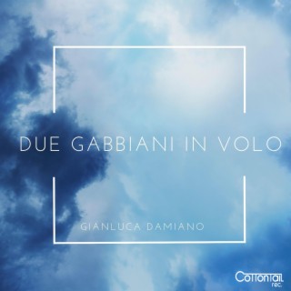 Due Gabbiani in Volo