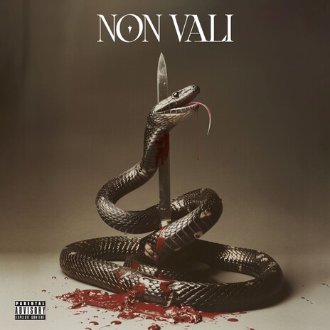 Non Vali | Boomplay Music