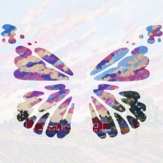 Butterfly Wings