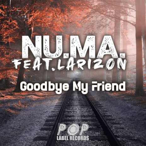 Goodbye My Friend ft. Larizon | Boomplay Music