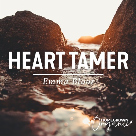 Heart Tamer | Boomplay Music