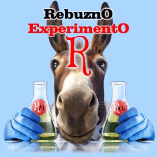 Experimento R