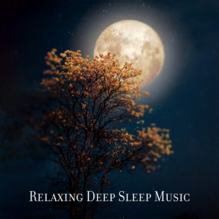 Relaxing Deep Sleep Music: Go to Bed With Peace of Mind