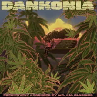 Dankonia