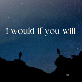 I Would If You Will