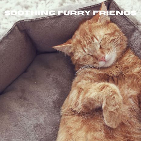 Harmony's Embrace (Loopable, No Fade) ft. Music For Cats & Relax My Cat | Boomplay Music