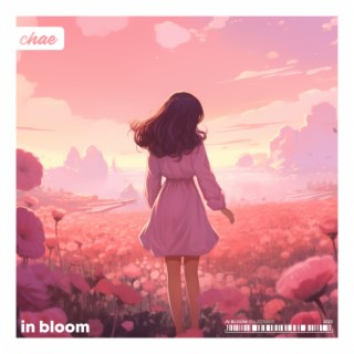 in bloom