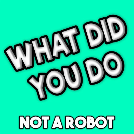 What Did You Do | Boomplay Music