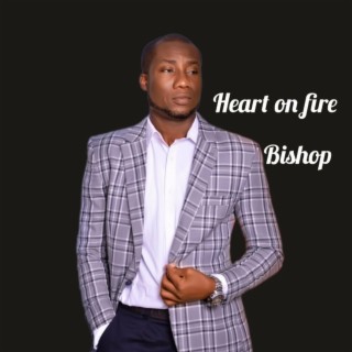 Heart on Fire lyrics | Boomplay Music