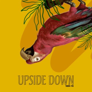 Upside Down