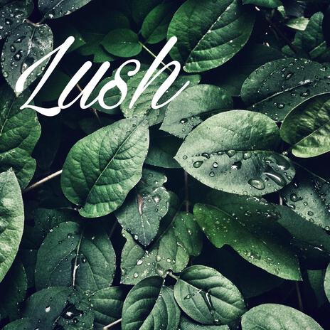 Lush | Boomplay Music