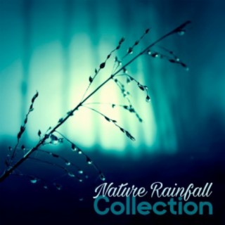 Nature Rainfall Collection