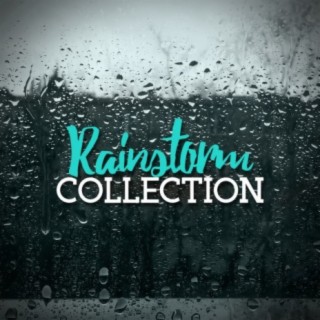 Rainstorm Collection