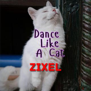 Dance Like A Cat