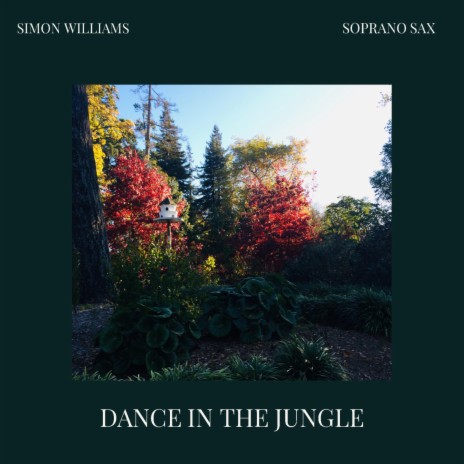 Dance in the Jungle | Boomplay Music