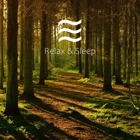 Still Raining for Calm Sleep and Rest | Boomplay Music