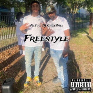 Freestyle (feat. DJ ChillWill)